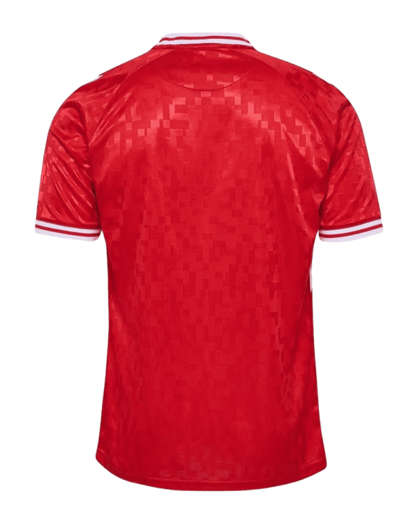 DINAMARCA 1ª EQUIPACIÓN 2024 (EUROCOPA) - Imagen 2